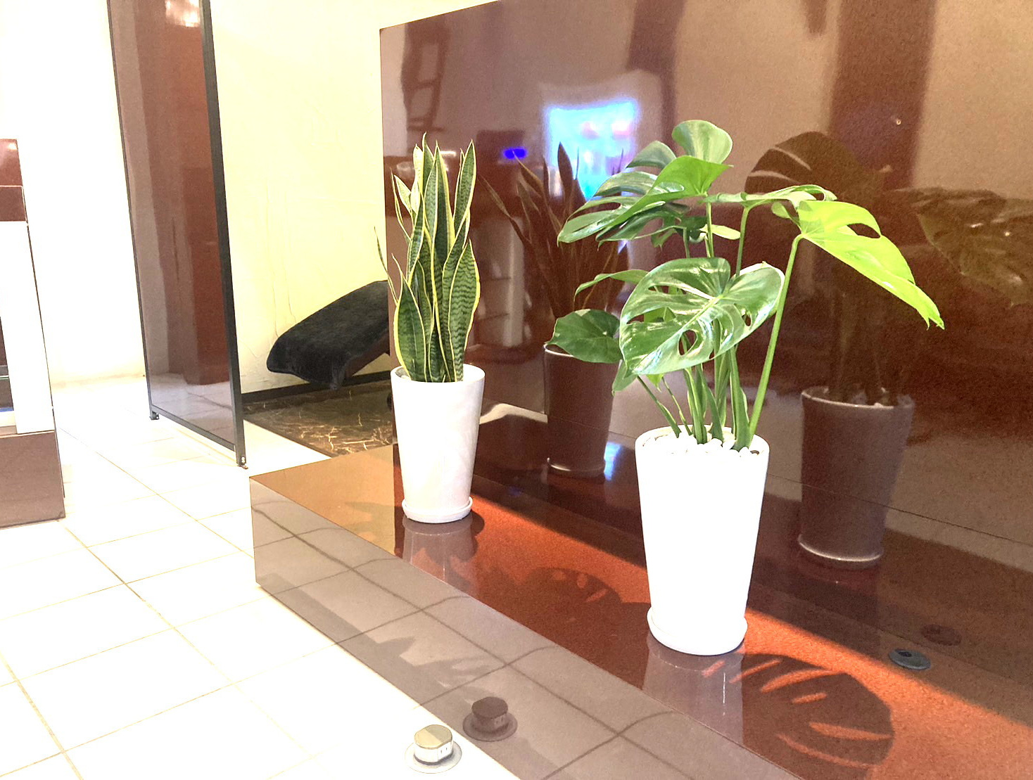 裾野市 美容室 美容院